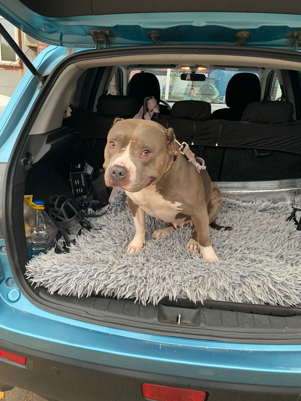 1A41A195-B1E2-4C56-B718-3693020C247F