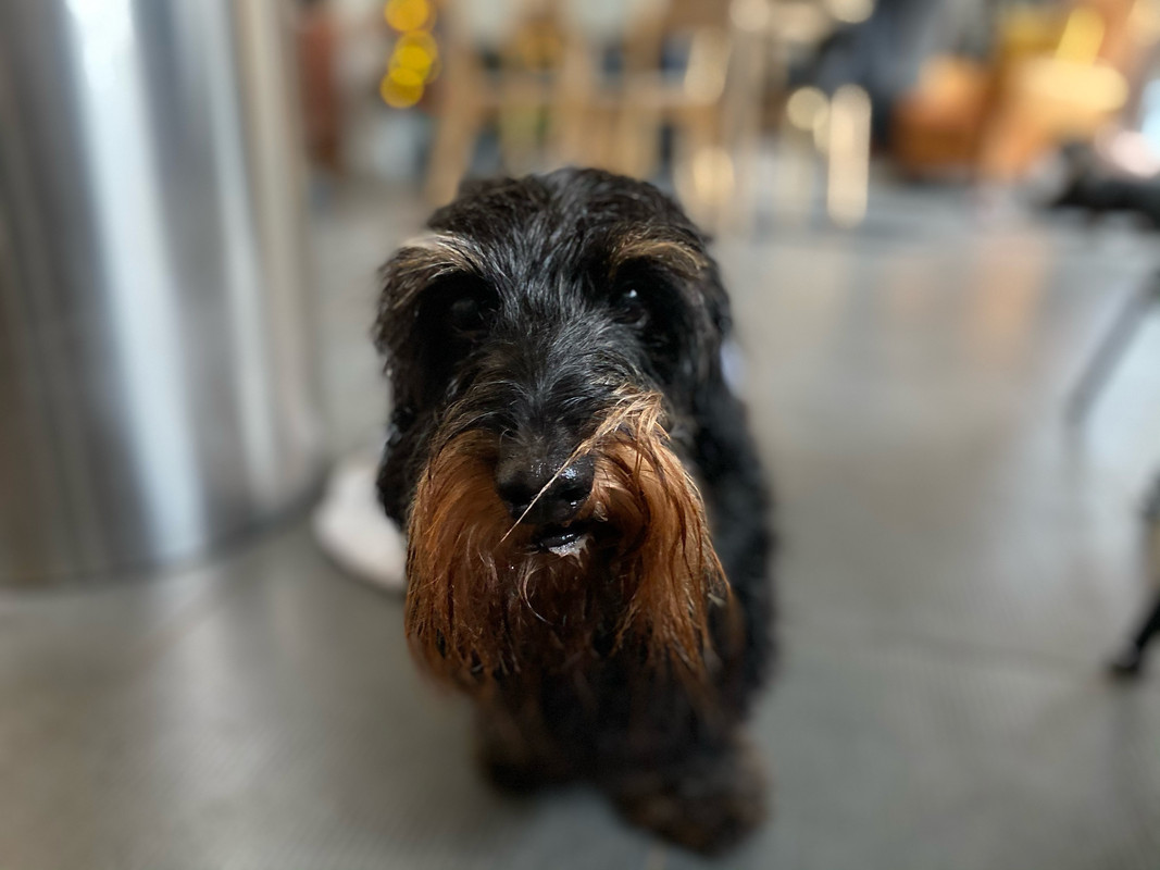 [Image: IMG-0408.jpg]