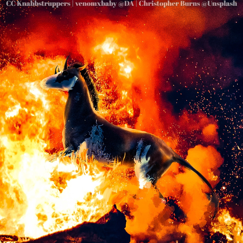 Fire-Full.jpg