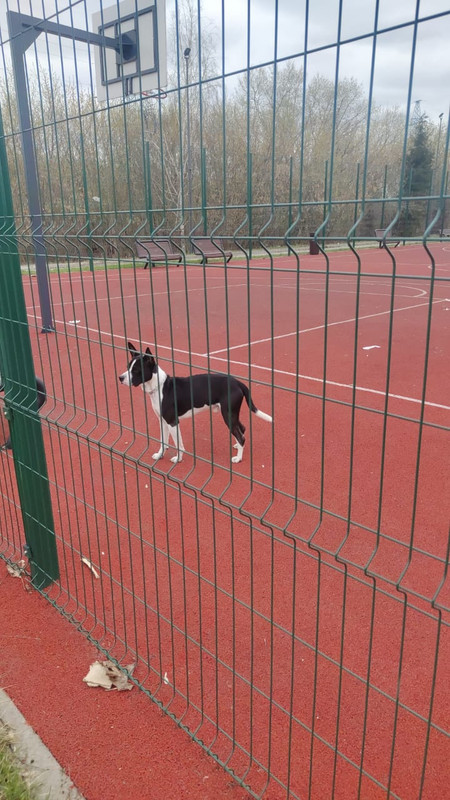 WhatsApp Image 2024-04-12 at 13.42.15 (1)