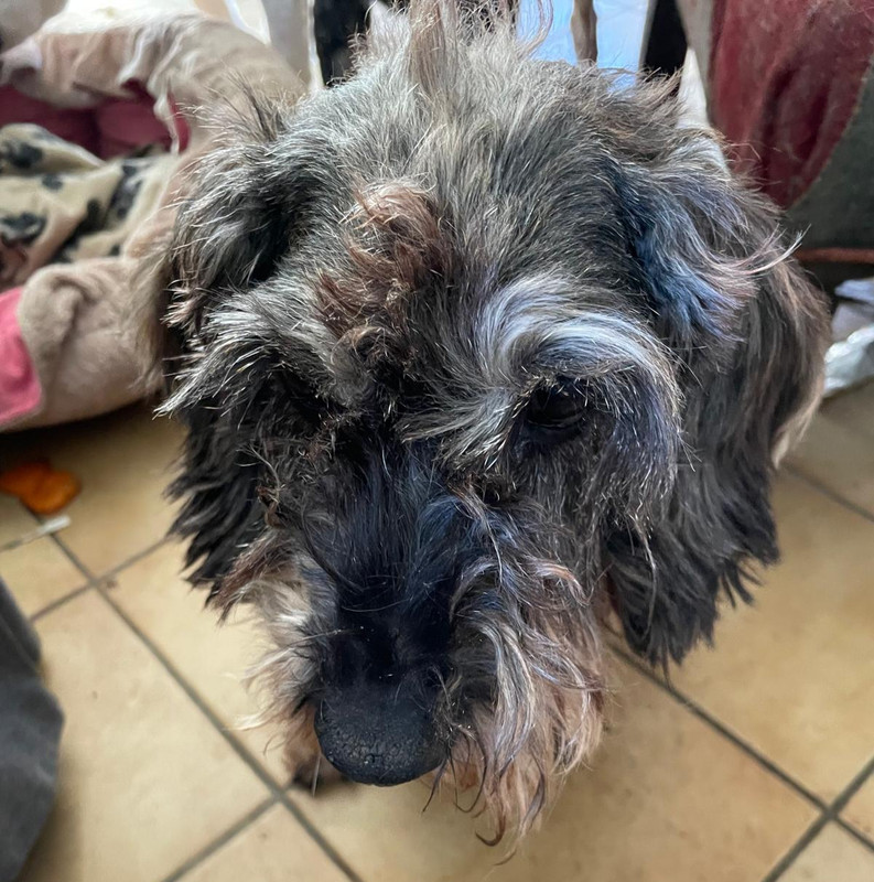 [Image: IMG-20250320-WA0001.jpg]