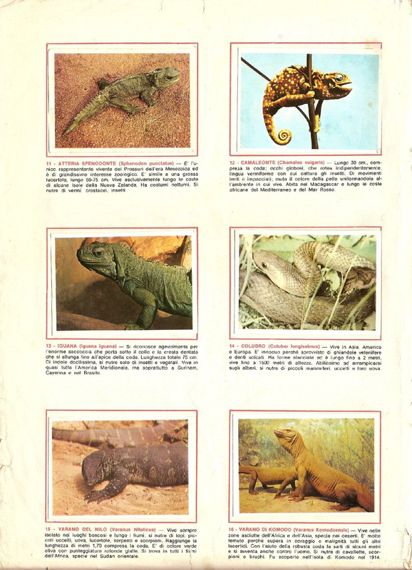 Animali di Tutto il Mondo 1965 Panini-06