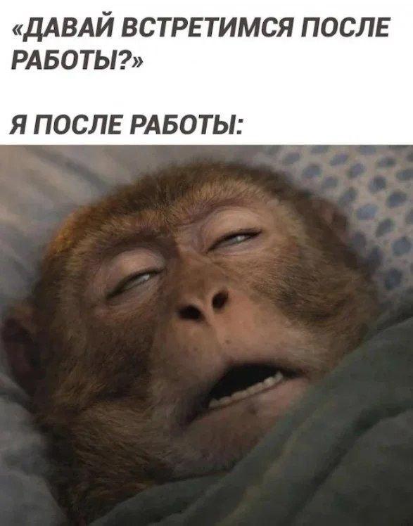 [Изображение: photo-2026-08-21-19-53-28.jpg]