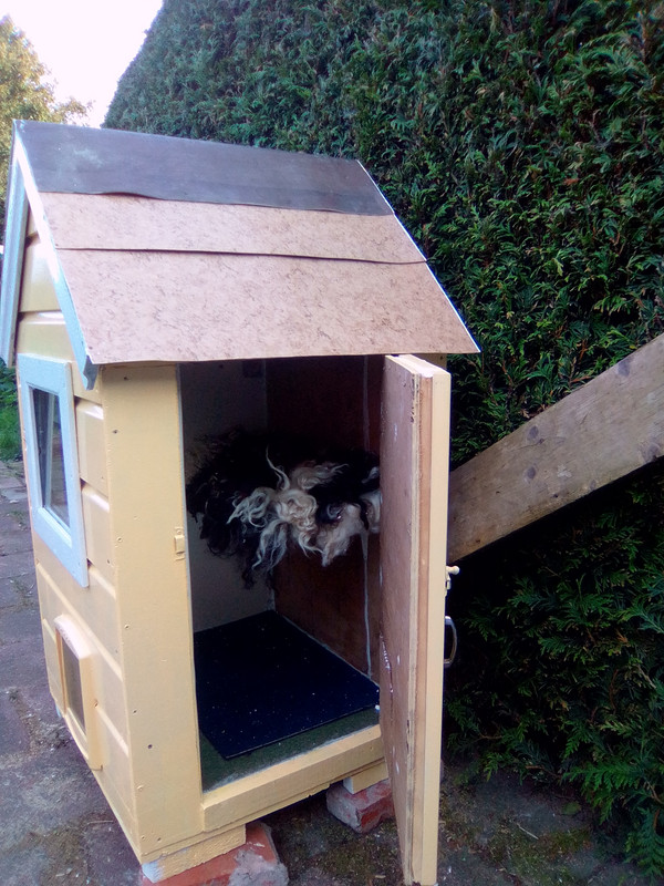 кошачий домик (4)