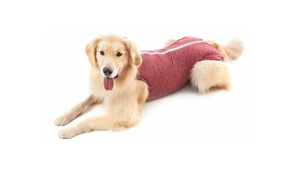 Produto FS Moda Pet 2