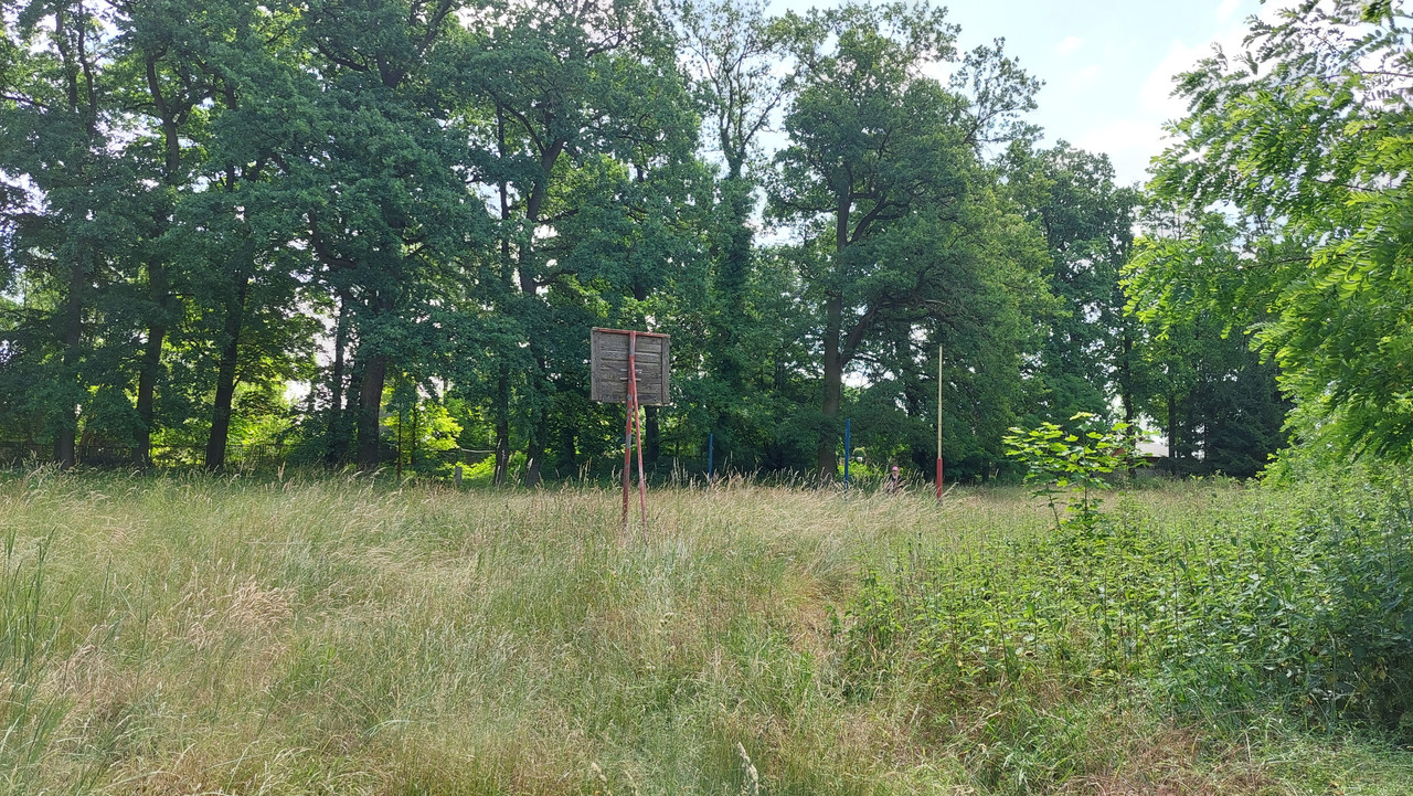 07.04 - 20250620_105321 (TomaszK)