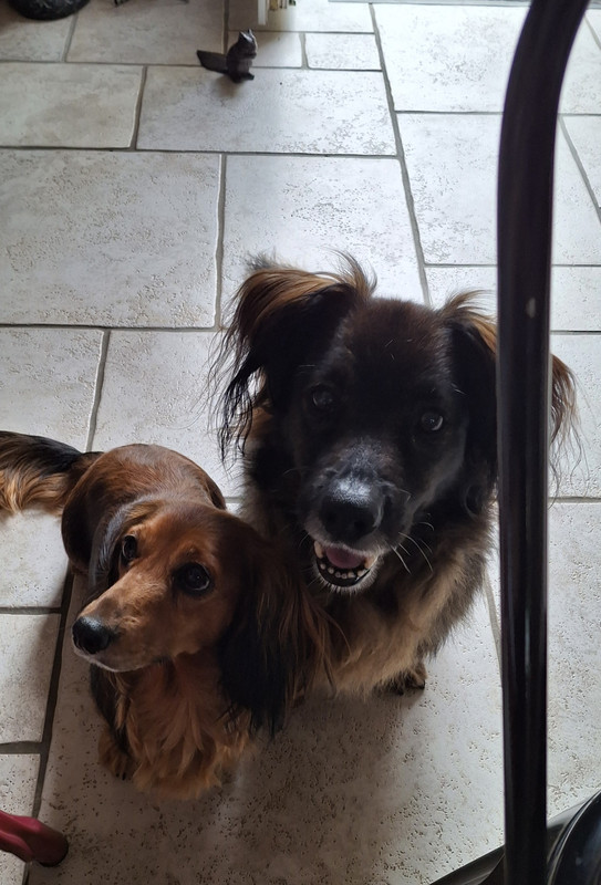 [Image: 1000023901.jpg]