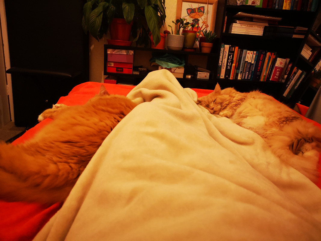 IMG-20191227-165433.jpg