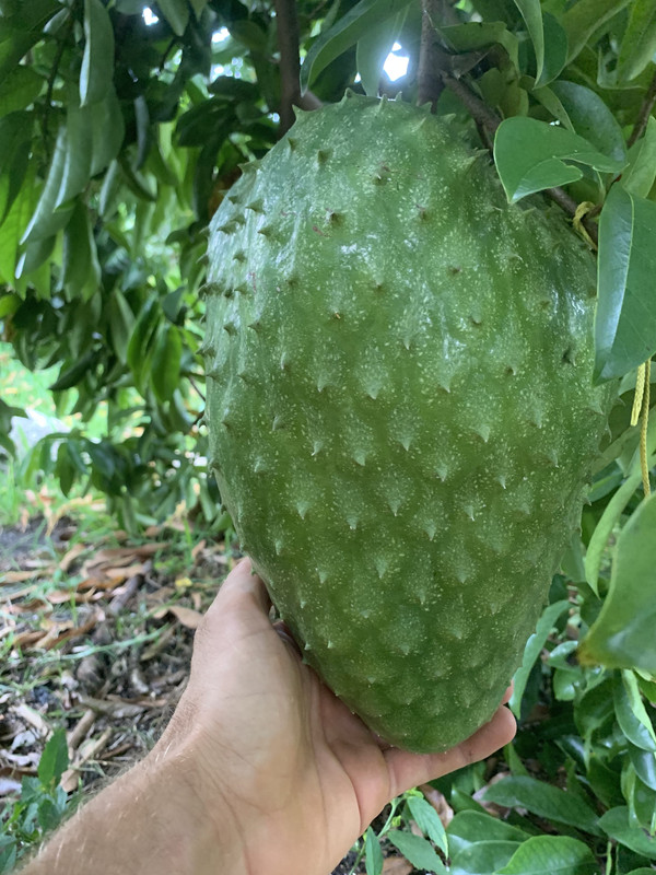 DA006C1C-95B9-4382-98E9-50515A072313