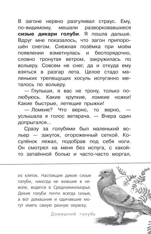 Durova-Natalija-Moj-dom-na-kolosah-page-0015