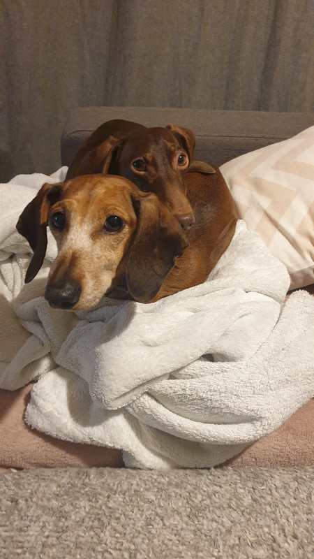 [Image: 20220303-212457-2.jpg]