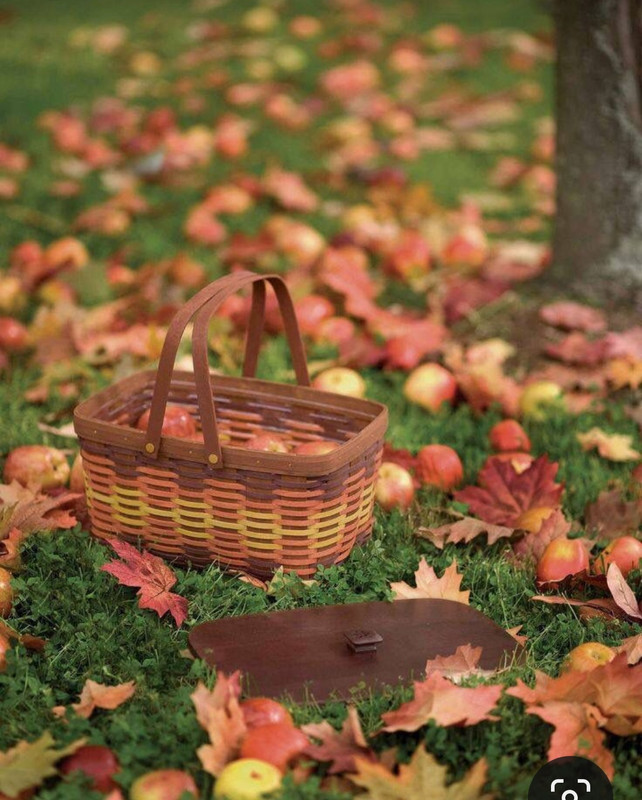 Screenshot_20231130_235737_Pinterest