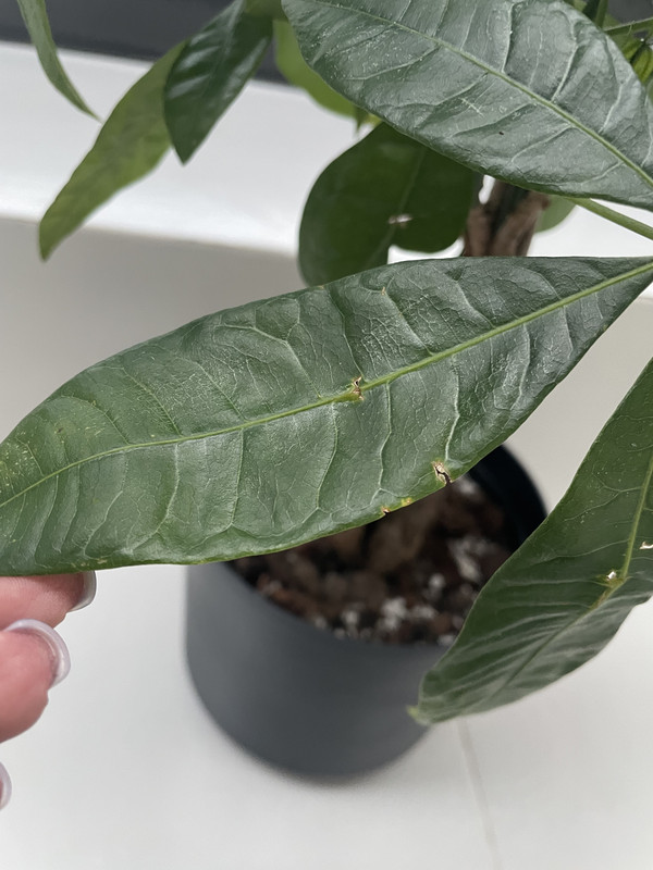 4B2E4668-67FB-466A-8DE4-49B5F2F97D7D