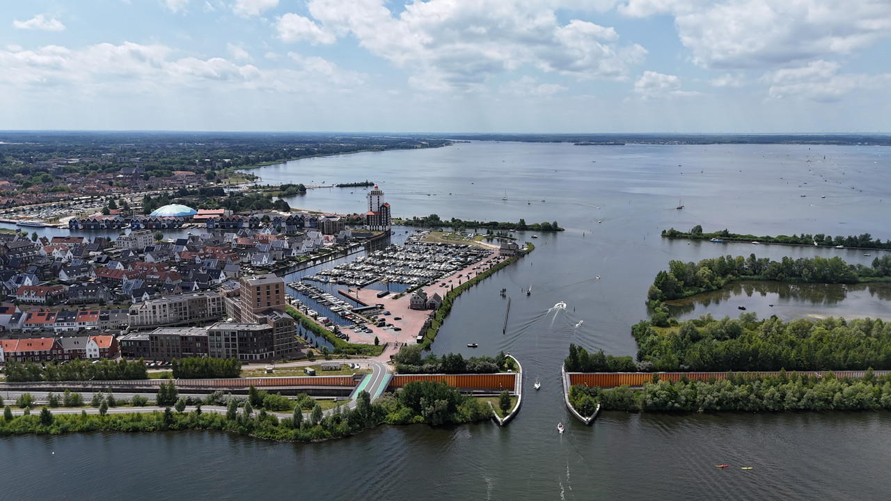 Трое в Амстердаме, не считая собаки. Переезд в Нидерланды.