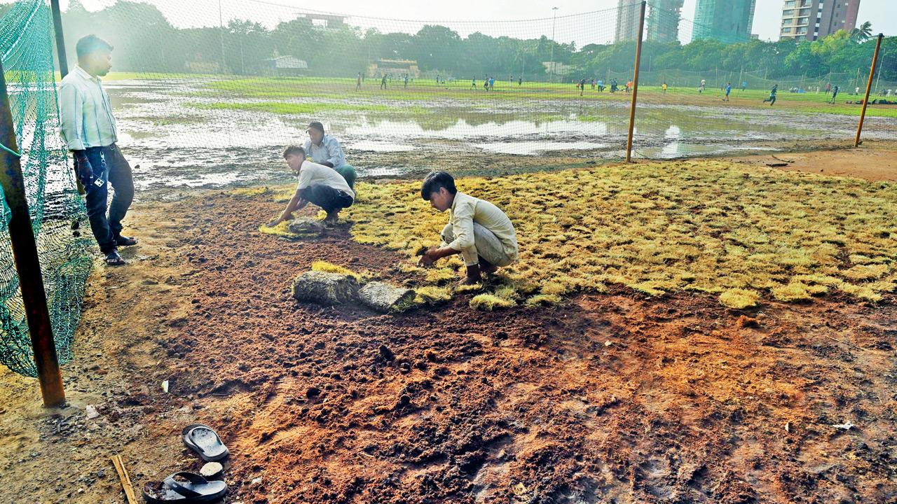 Maharashtra A State That Needs Soil Clarity