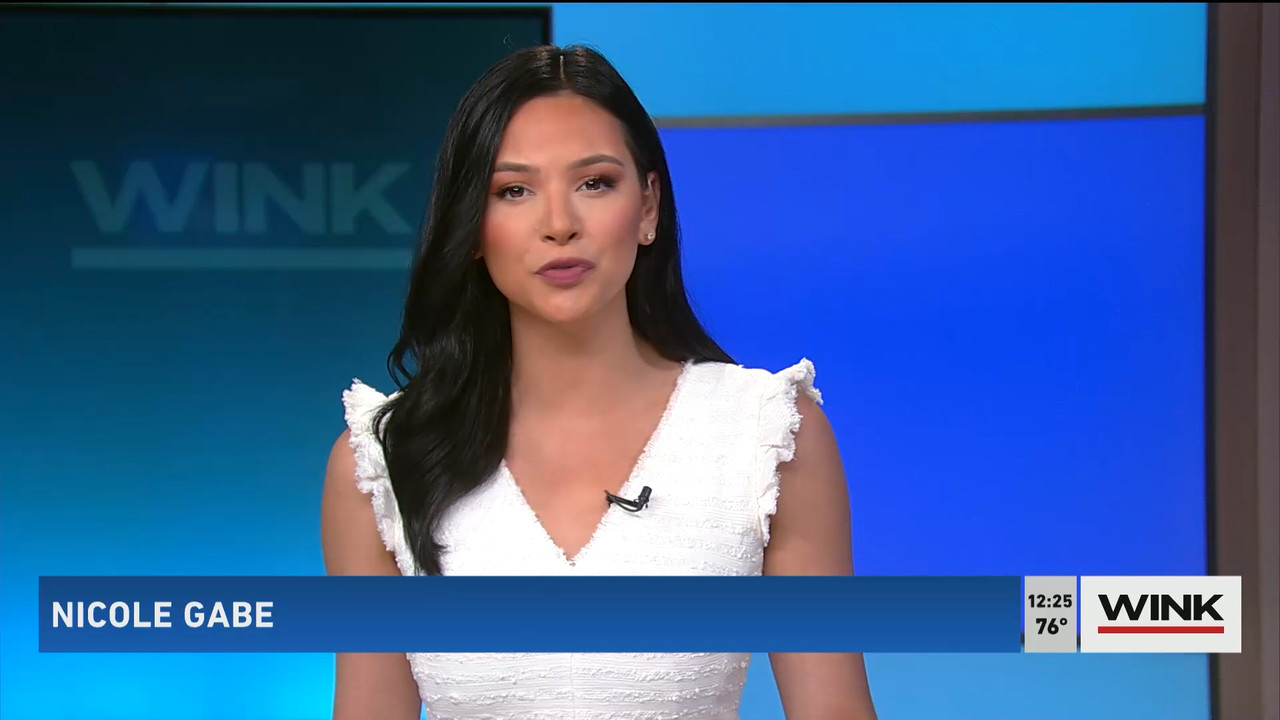 The WINK Noon News 2022_04_08_17_00_00.ts_snapshot_31.34.208