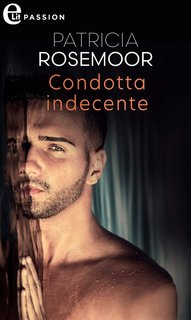 Patricia Rosemoor - Chicago Heat Vol. 2. Condotta indecente (2022)