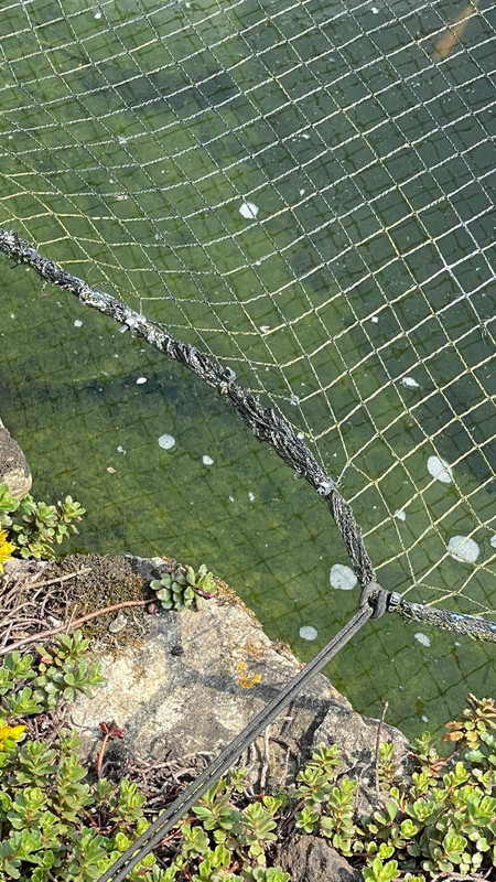 WhatsApp Image 2024ui