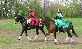 Амазонки України