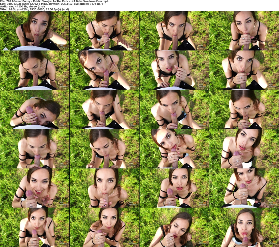 27052024095519screenshot