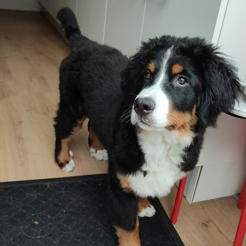 IMG_20230221_072445_095