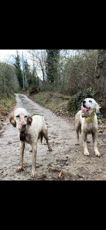 ADCED79A-0FB1-4BEA-8751-62AD1F250107