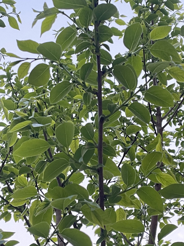 6B8B7CB5-586D-4B30-A6E8-58032FDF1E35