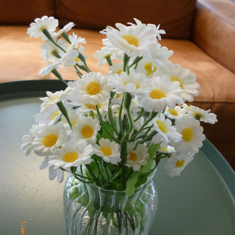 photo 19 2025 12 17 21 07 33