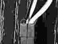 Colin_C3PO_needs_a_close-up