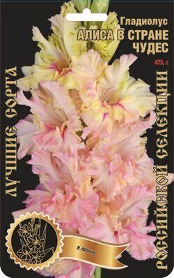 Алиса в стране чудес