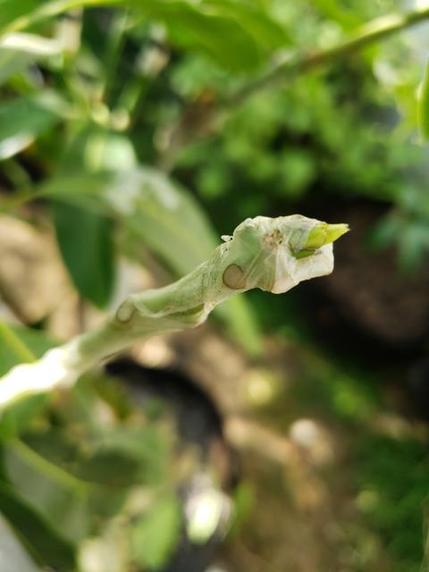 51107989-7C81-4722-8A78-82FFE72D13DF