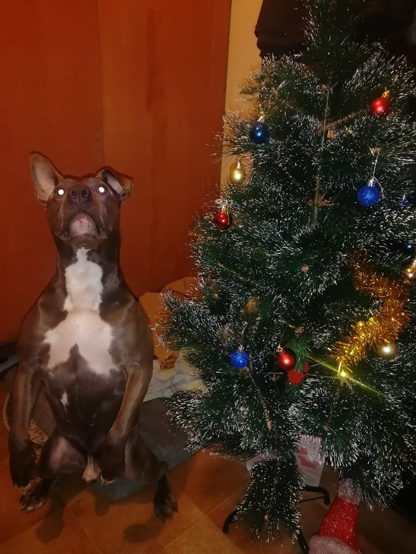 0A607867-DEC3-43AE-A4F7-9111981D579C