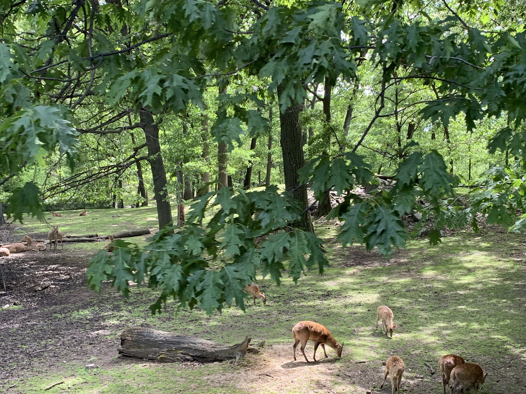 01220509-14FA-4C1F-A923-11AFEE3B84BA