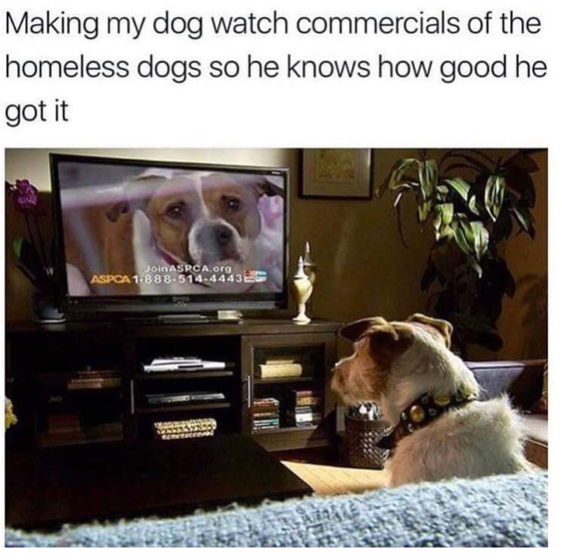 588AAE0A-110F-419B-A8DE-EE69A48E2BD8