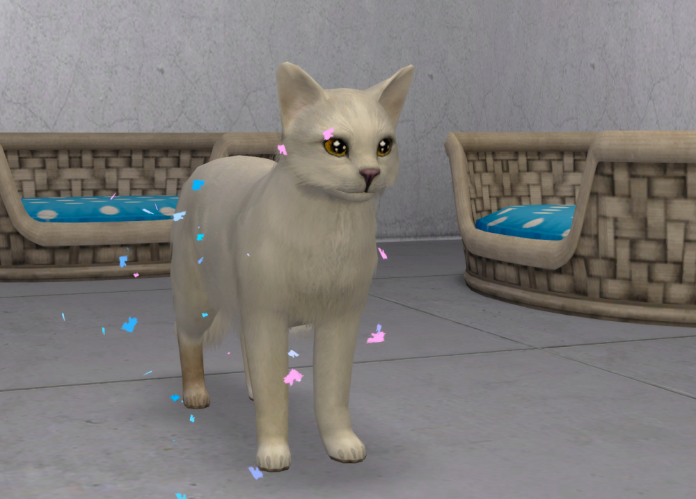 Sims2-EP9-RPC-2021-11-04-21-10-52-54