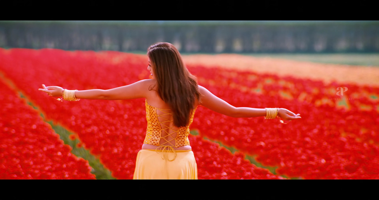 VideoCapture_20241122-200434