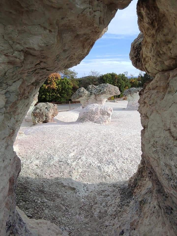 FB_IMG_1632815648949