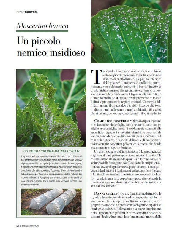 il mio Giar Feb-Mar 2025 (9)