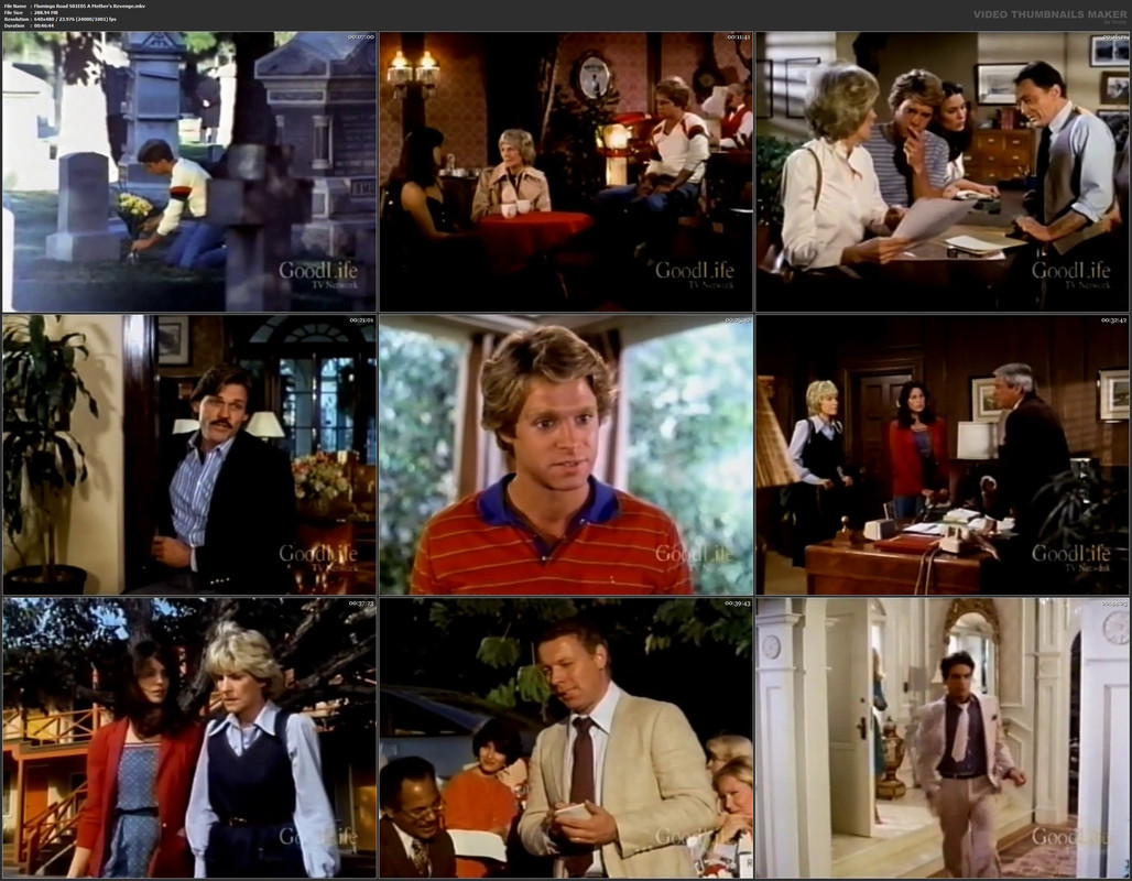 Flamingo Road S01E05 A Mother's Revenge.mkv