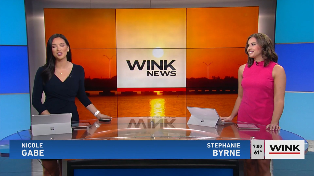 03.06 - 12.00.00 - WINK News at 7 00 a.m. Saturday..ts_snapshot_00.01.25.512