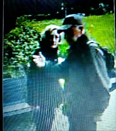 Majovská Olga profesorka Gymnázia v důchodu