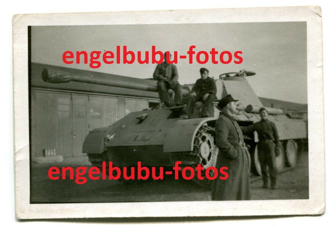FOTO - PANZER - Panzer V - PANTHER - Selt. Ausführung mit heller Bemalung (2)