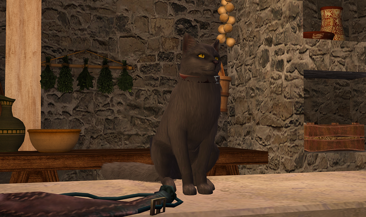 Greenshot_2025-04-11_17_36_48