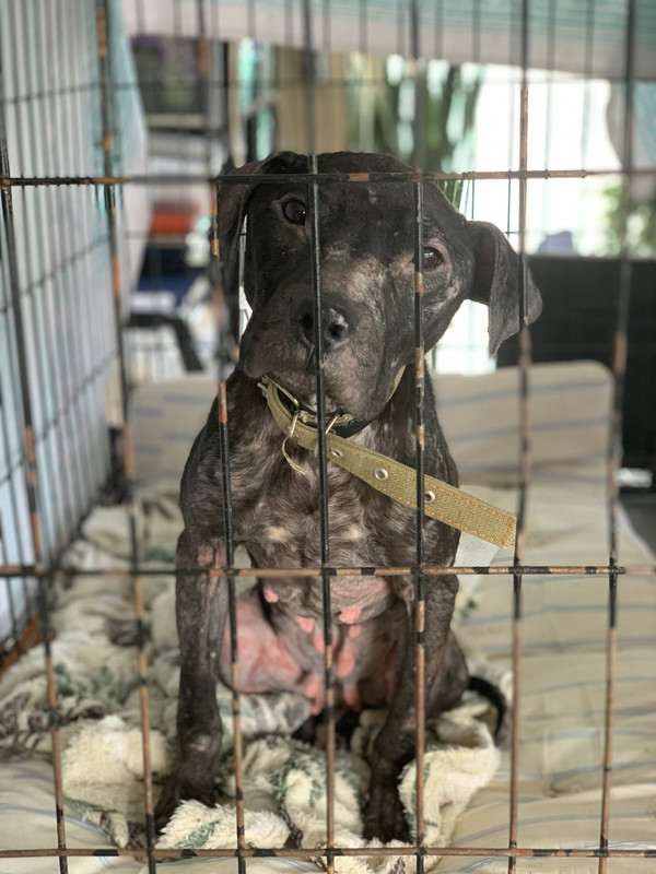 C69F7892-93E7-46B5-93EA-2A7468872AD0