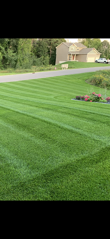 Extreme uneven color Lawn Care Forum