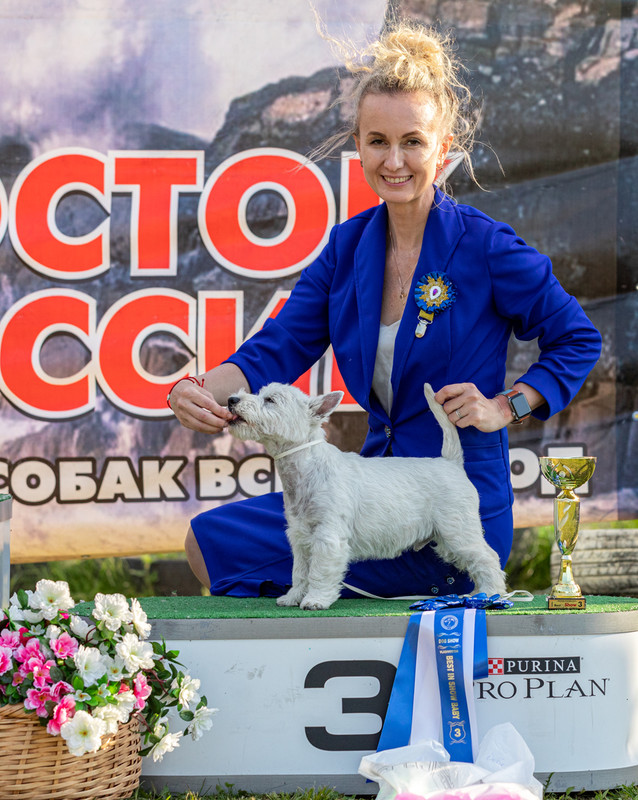 ВР 1456 — Postimages