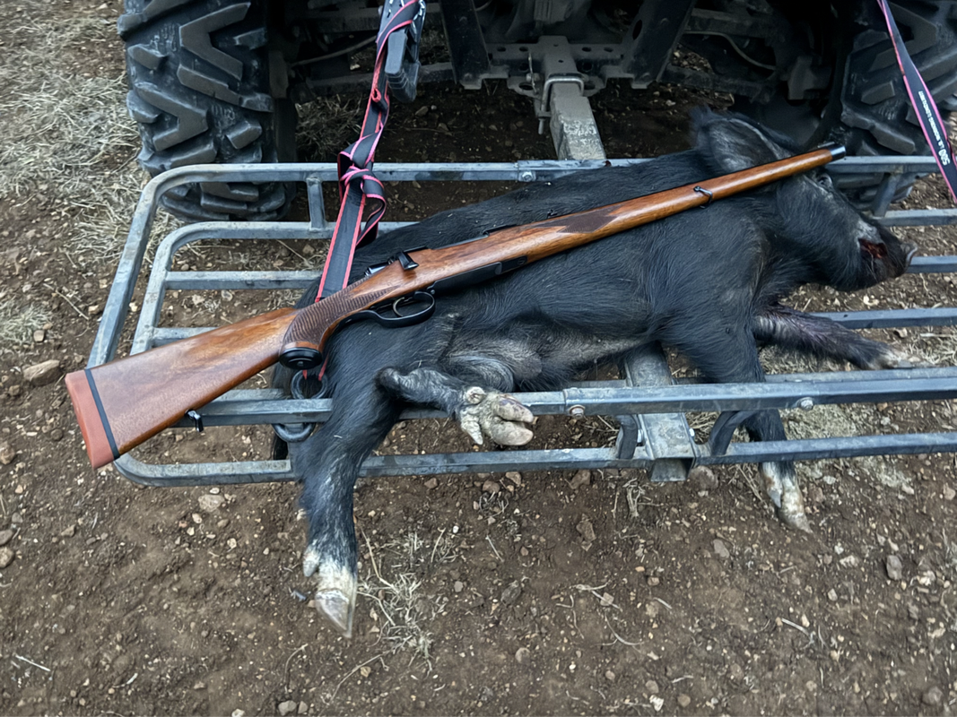 Screen Shot 2025-01-20 at 3.13.28 PM