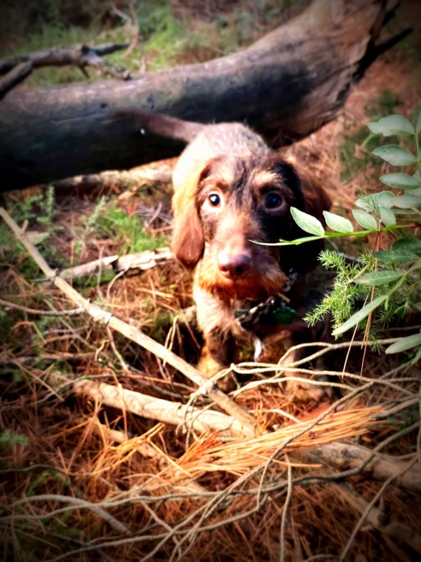 [Image: IMG-2133.jpg]