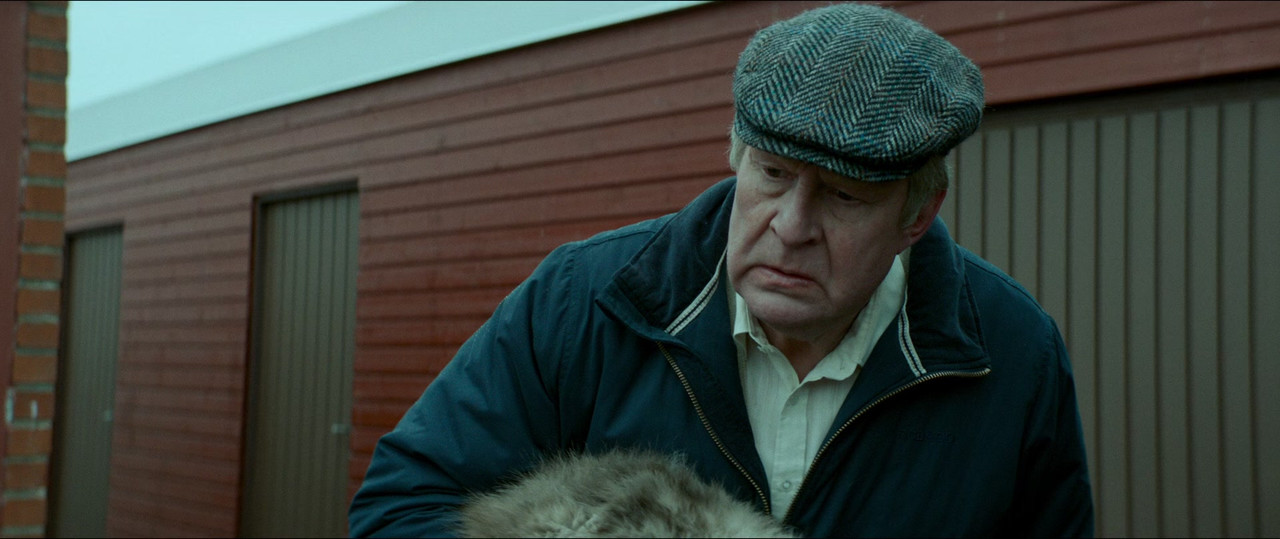 A Man Called Ove (2015) (1080p BluRay x265 r00t)-7