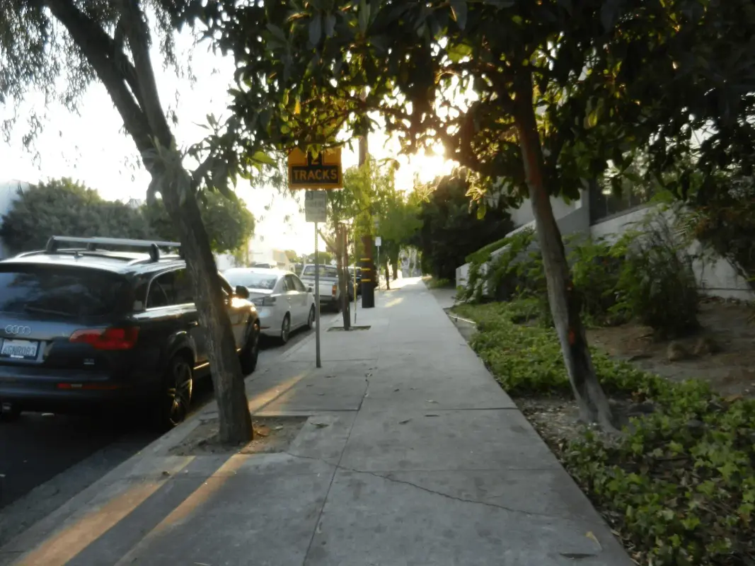 a photo of a sidewalk from on the sidewalk, with trees overhanging and a golden light coming through from the sun.